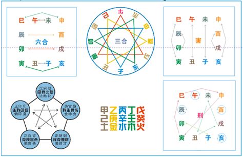 巳寅|十二地支解析：巳 巳与其他十二地支的关系